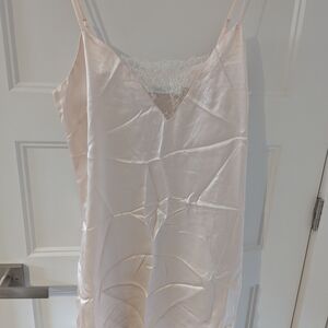 Ginia 100% silk and lace chemise NWOT